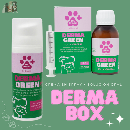 Ekilibra - Box Derma (Apoyo dérmico)