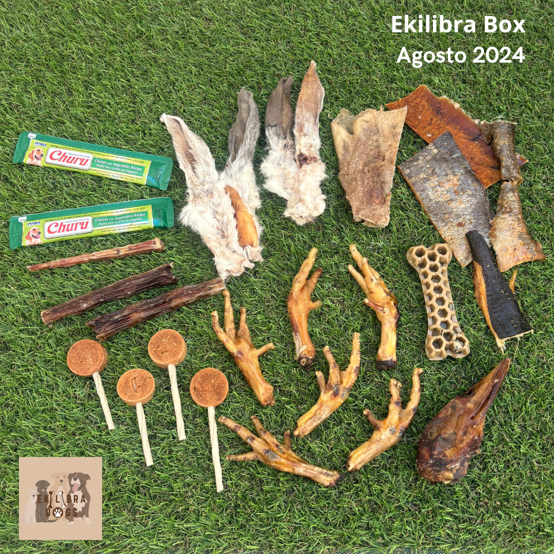 Ekilibra BOX - La Caja Regalo Mensual de tu Peludo