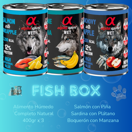Ekilibra - Box Fish