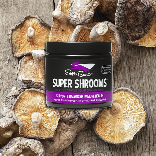 Super Shrooms (Hongos Medicinales)